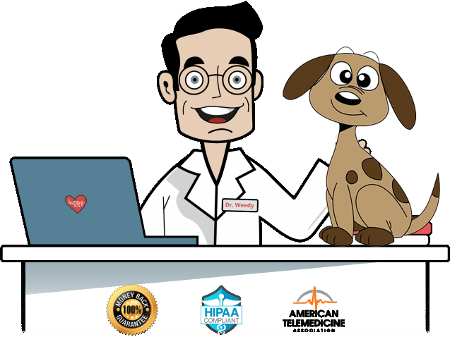 Emotional Support Animal letter online - ESA Doctor Clinic