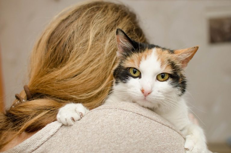 about-esa-cats