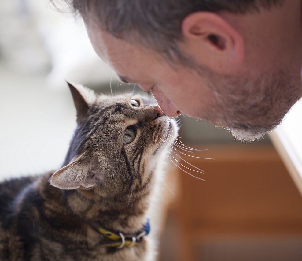 Esa hotsell cat collar