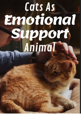 Cats as emotional suppurt animal