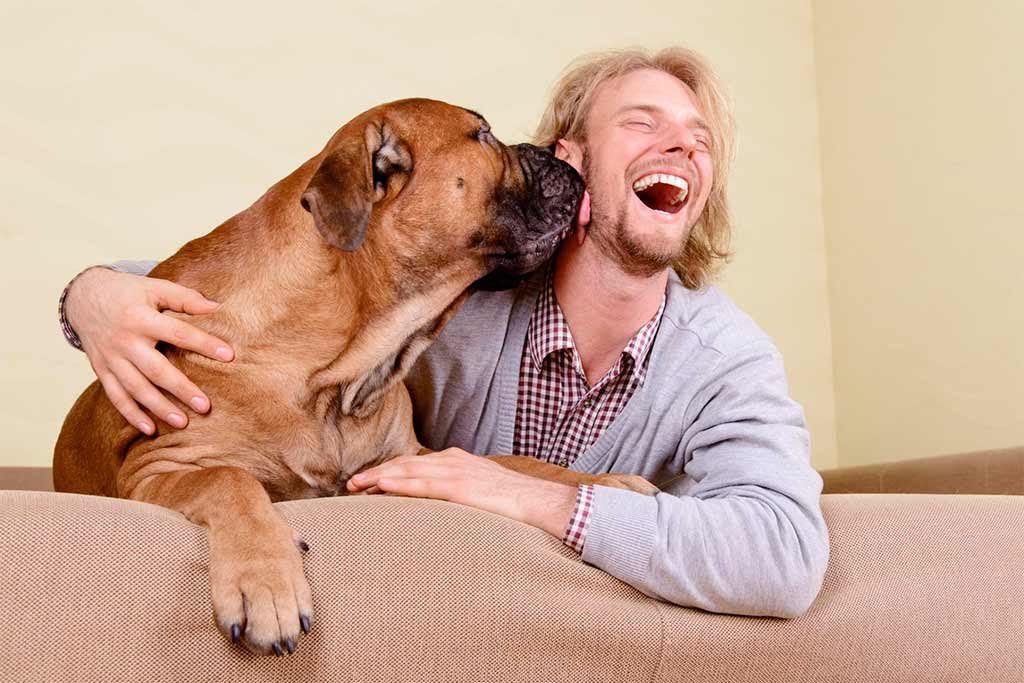 dog with owner