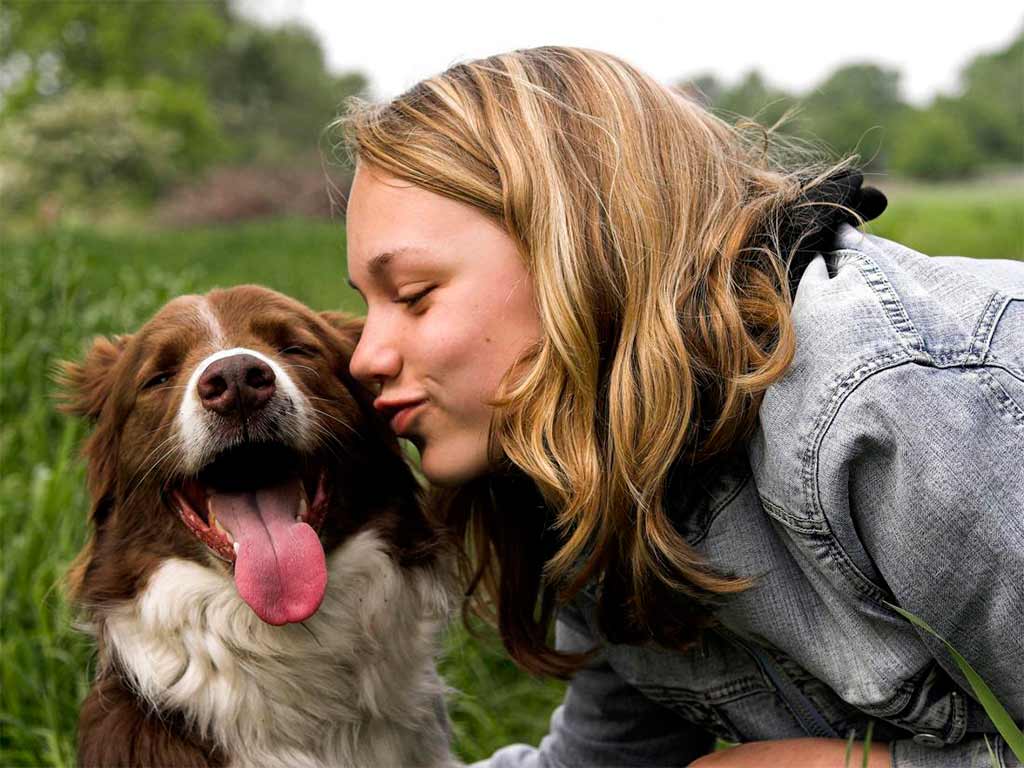 dog with owner